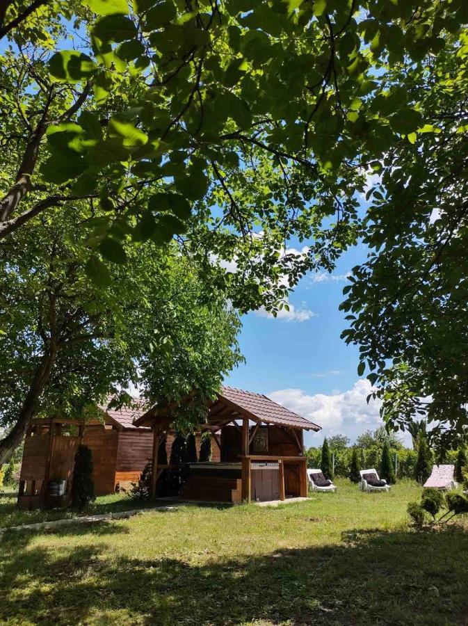 Brvnara Aurora Vista Vila Velika Remeta Exterior foto