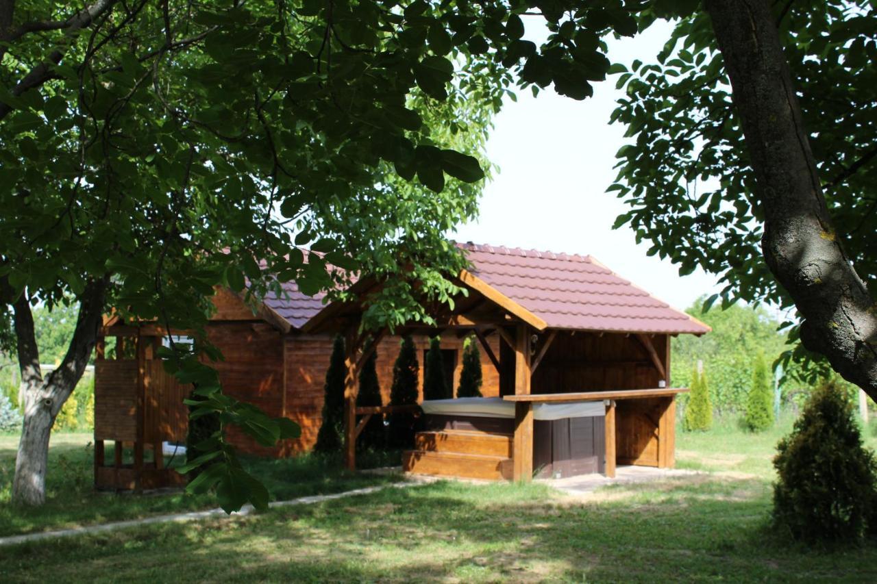 Brvnara Aurora Vista Vila Velika Remeta Exterior foto
