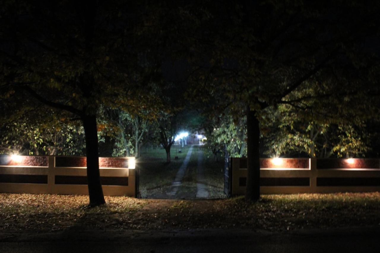 Brvnara Aurora Vista Vila Velika Remeta Exterior foto